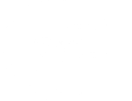 Casper College white bird logo